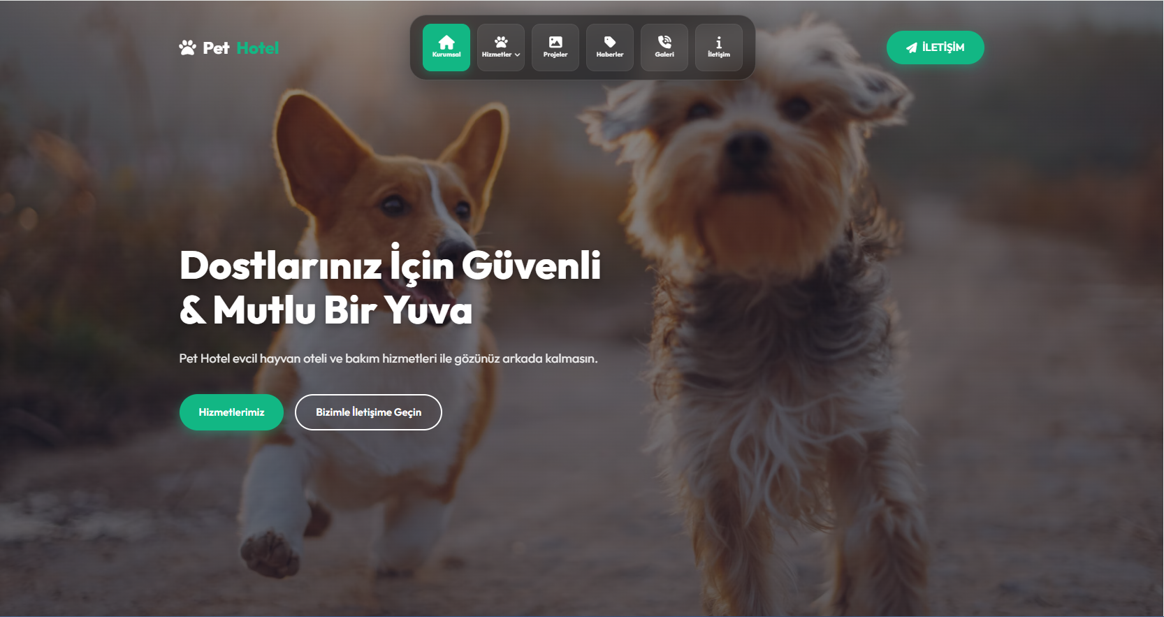 Petshop  Hotel   & Veteriner